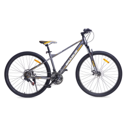BICICLETA HOMBRE MTV RAIDEN 29 GRIS