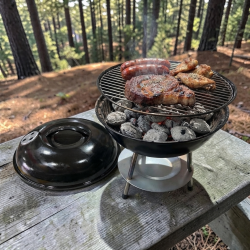 ASADOR (PARRILLA) A CARBON PARA CAMPING 37 CM (4125967)